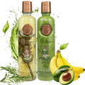 KIT 2 Crecimiento Acelerado y Ultrareparador Control Grasa Shampoo de Romero + Tratamiento Intensivo PLEX